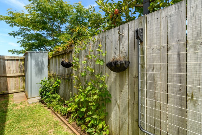 11 Kamahi Crescent, Papamoa Beach, Papamoa - Carousel 16