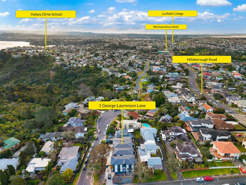 1 George Laurenson Lane, Mount Roskill, Auckland - Carousel 21