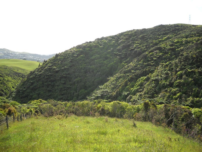 4 Van Der Velden Way, Horokiwi, Wellington - Carousel 7