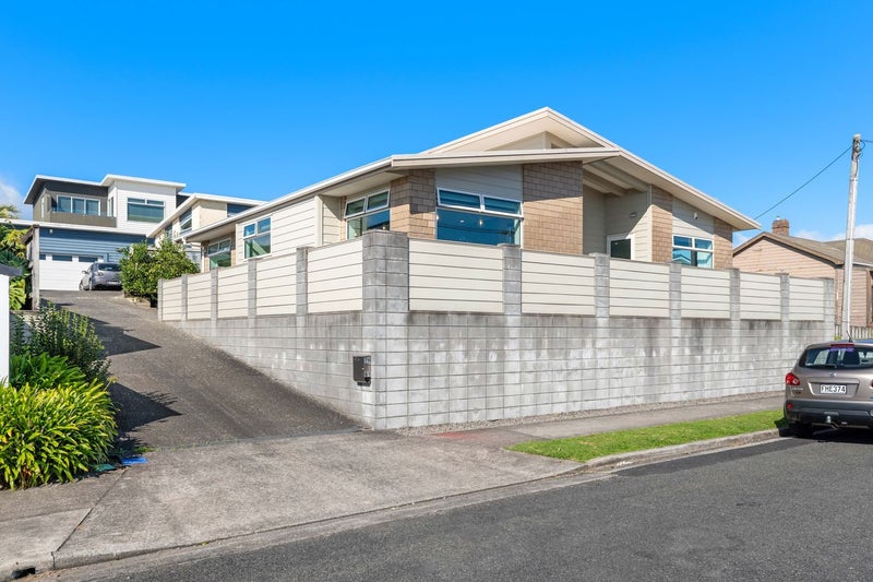 81 Hine Street, New Plymouth, New Plymouth - Carousel 17