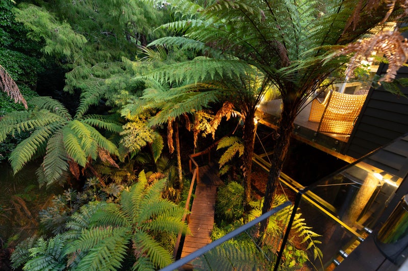 14A Macdiarmid Road, Beerescourt, Hamilton - Carousel 2