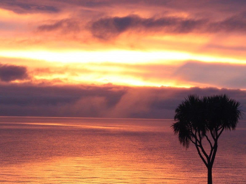 208 State Highway 1, waitahanui, Taupo - Carousel 20