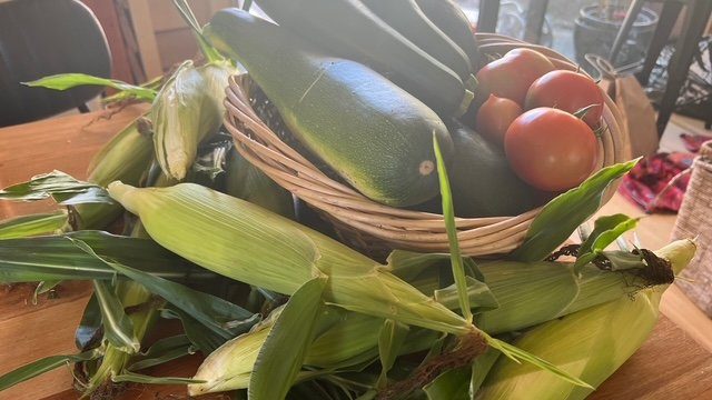 72 Toi Toi Street, Toi Toi, Nelson - Carousel 45