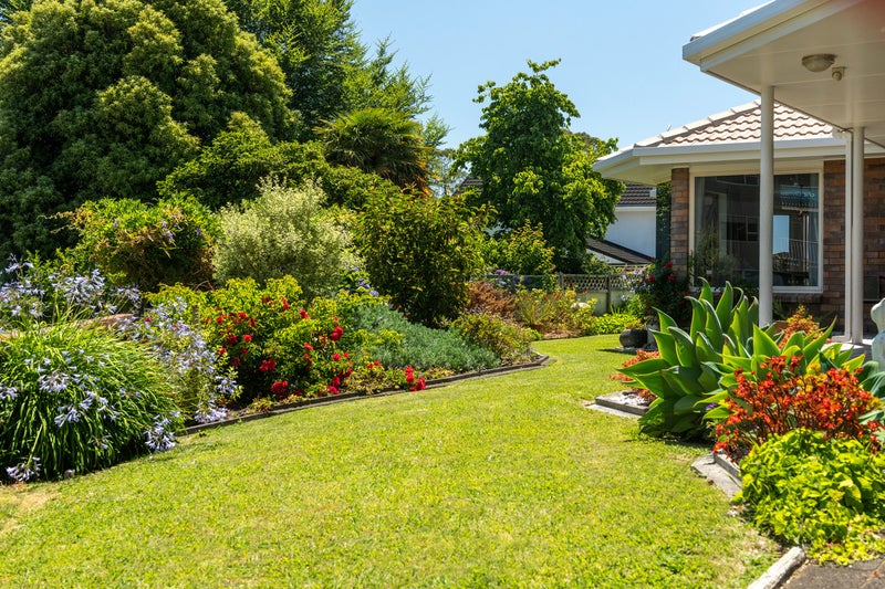 62C Oxford Street, Te Puke - Carousel 2