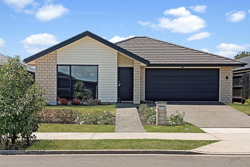 12 Harp Street, Morrinsville, Morrinsville - Carousel 1