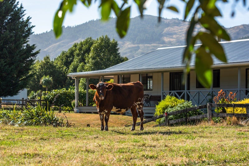 23 Kenningtons Road, Okaramio - Carousel 2