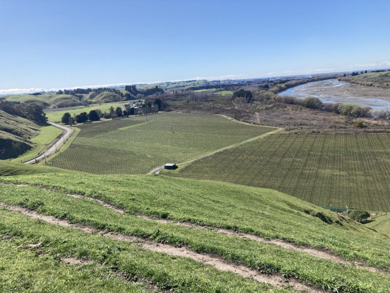 179 Ohiti Road, Crownthorpe, Hastings - Carousel 11