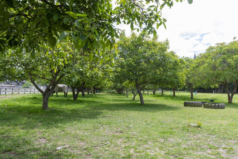 843 Tram Road, Ohoka, Kaiapoi - Carousel 24