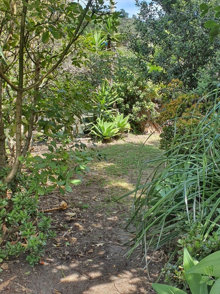 14 Mission Road, Tuakau - Carousel 22