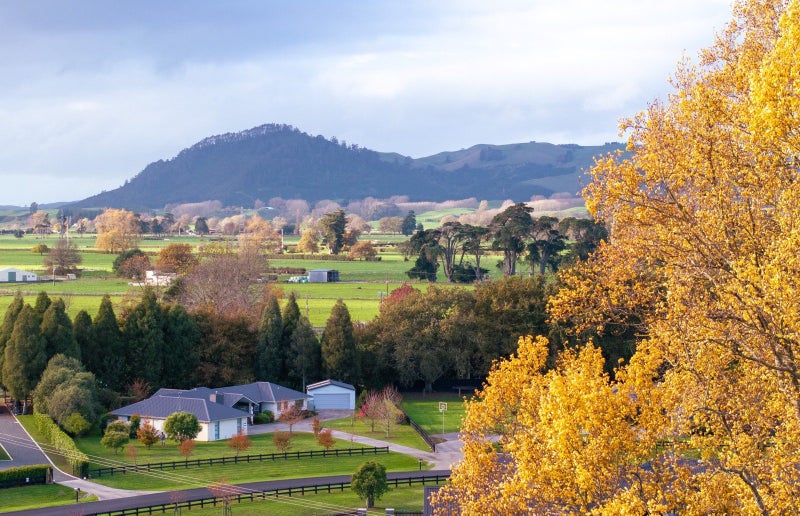 3 South Oaks Close, Pukemoremore, Cambridge - Carousel 1