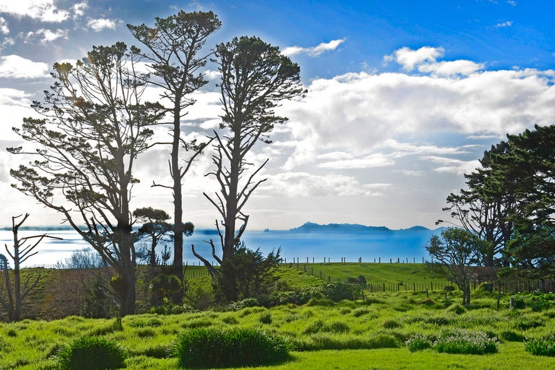 21 J Greenwood Road, Warkworth - Carousel 26