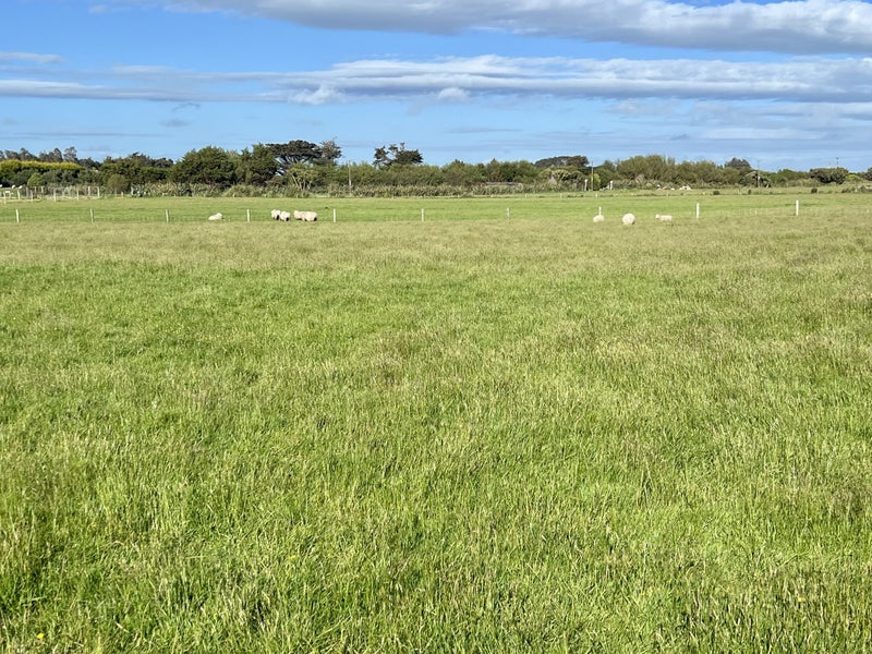 5 Ackers Road, New River Ferry - Carousel 20