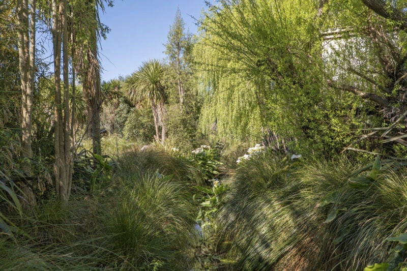 10 Thornton Close, Leithfield, Amberley - Carousel 24