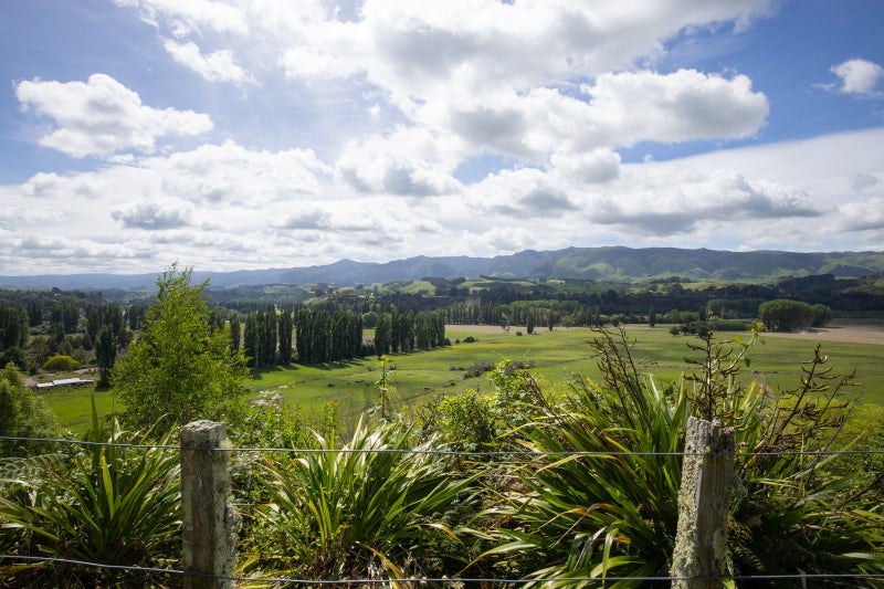 1195A Pohangina Road, Pohangina, Ashhurst - Carousel 2