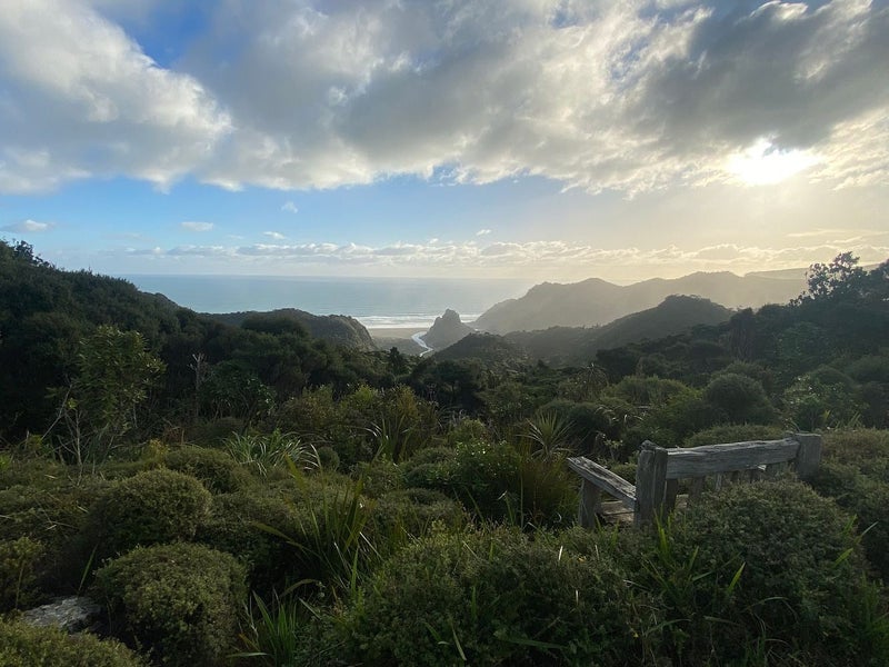 128 Lone Kauri Road, Karekare, Auckland - Carousel 17