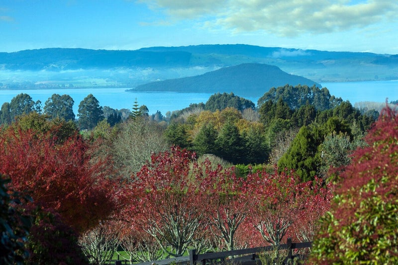295 Oturoa Road, Rotorua - Carousel 27