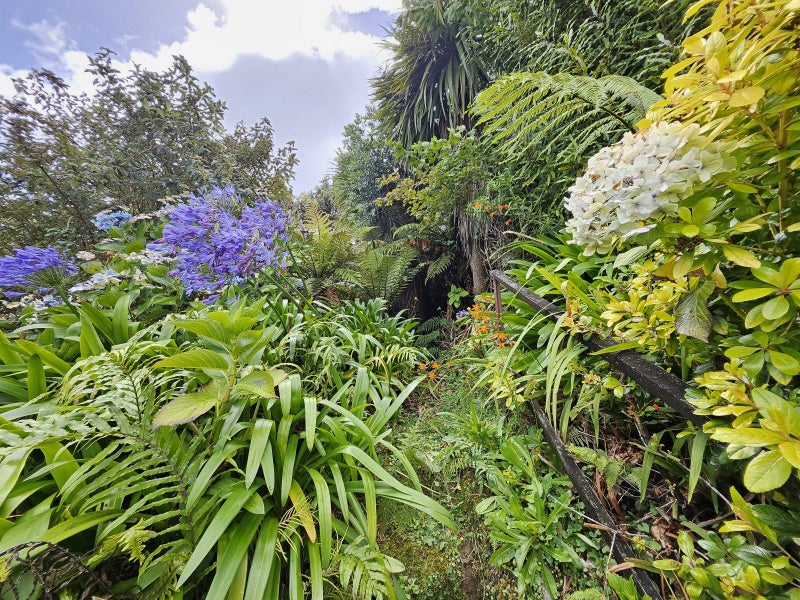 109 Alexander Street, Greymouth, Greymouth - Carousel 18