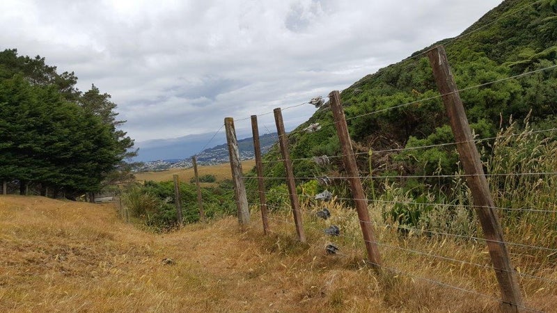 11 Hillcroft Road, HOROKIWI 5016, WELLINGTON - Carousel 1