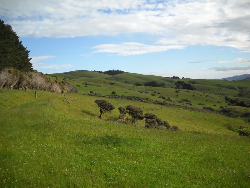 4 Van Der Velden Way, Horokiwi, Wellington - Carousel 2