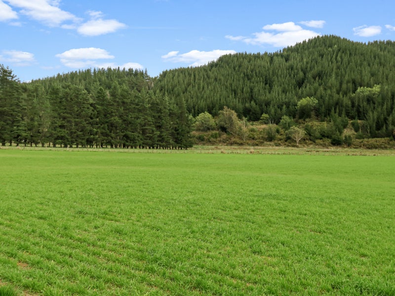 0 Leslies Road, Okaramio, Havelock - Carousel 26