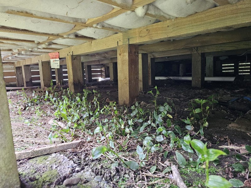 149 Bright Street, Cobden, Greymouth - Carousel 25