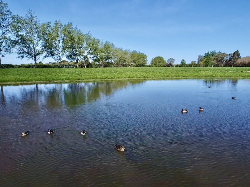 27 Houstoun Road, Levels - Carousel 1