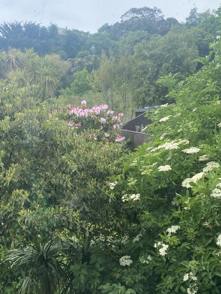 17 Aotea Terrace, Huntsbury, Christchurch - Carousel 26