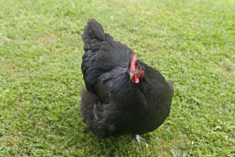 372A Crawford Road, Minden, Tauranga, Bay Of Plenty - Carousel 35