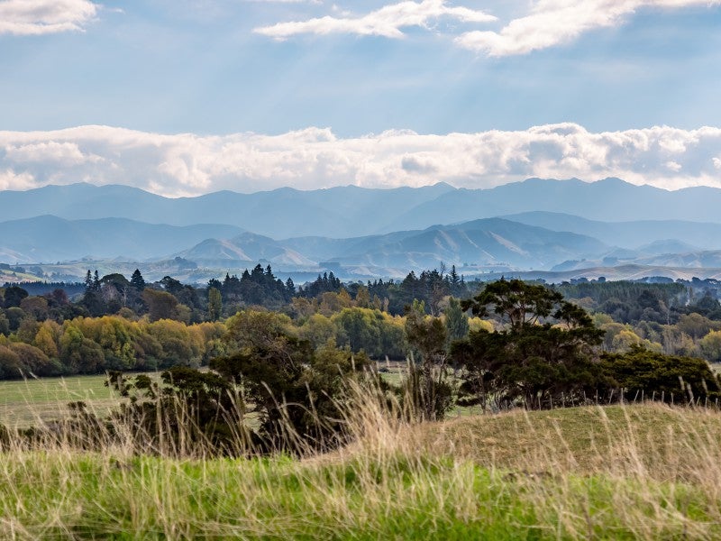 0 Matapihi Rd, Te Ore Ore, Masterton - Carousel 1