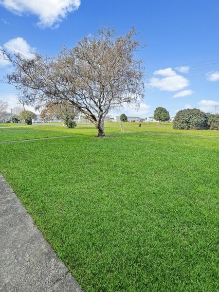 52 Devon Street, Picton - Carousel 8
