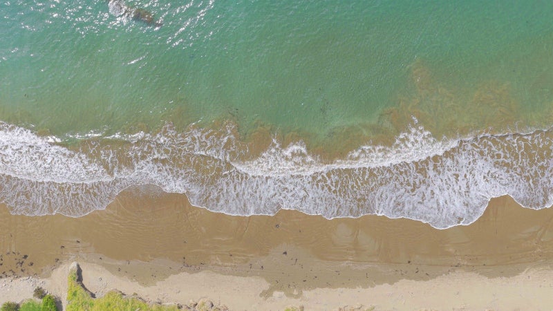 202 Pourerere Beach Road, Aramoana, Omakere - Carousel 13