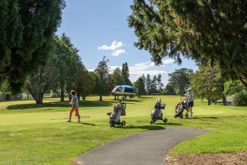 297B Chadwick Road, Gate Pa, Tauranga - Carousel 15