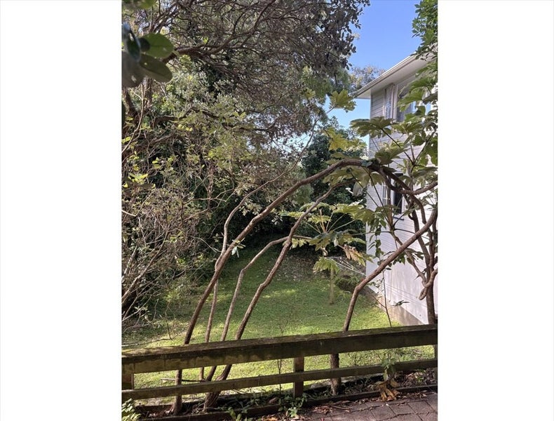 6 Margaret Street, Wadestown, Wellington, Wellington - Carousel 14