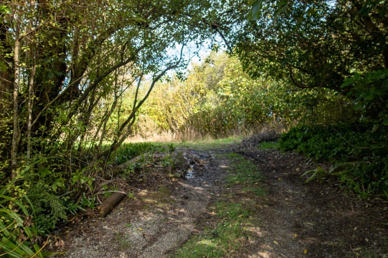 Lot 17 Lookout Road, Geraldine, Timaru, Canterbury - Carousel 2