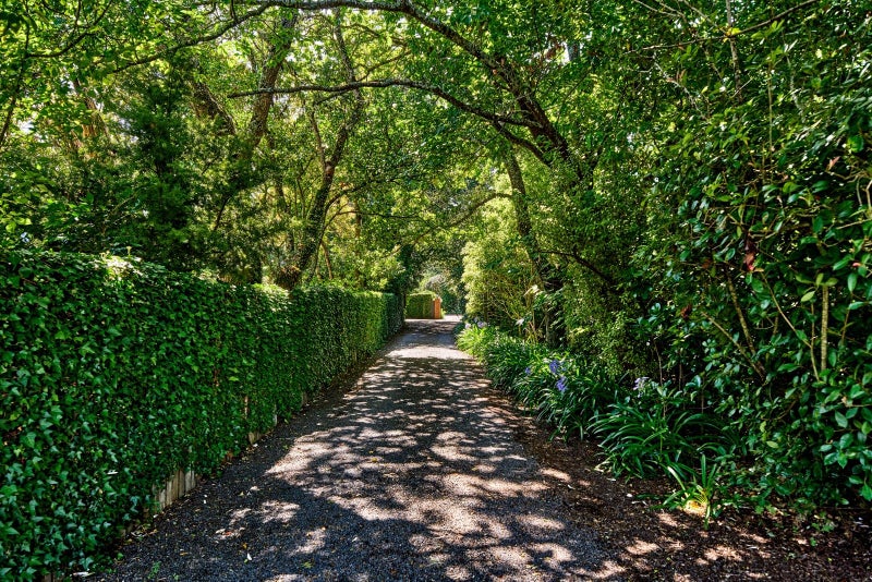 295 Fergusson Drive, Heretaunga, Upper Hutt, Wellington - Carousel 2