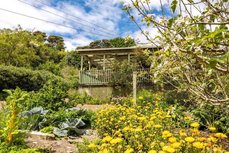 17 Crescent Road East, Ostend, Waiheke Island - Carousel 2