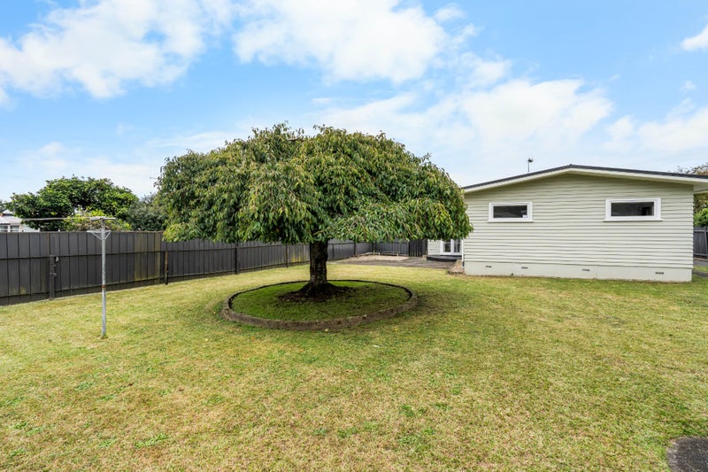 41 Fitzroy Avenue, Fitzroy, Hamilton - Carousel 21