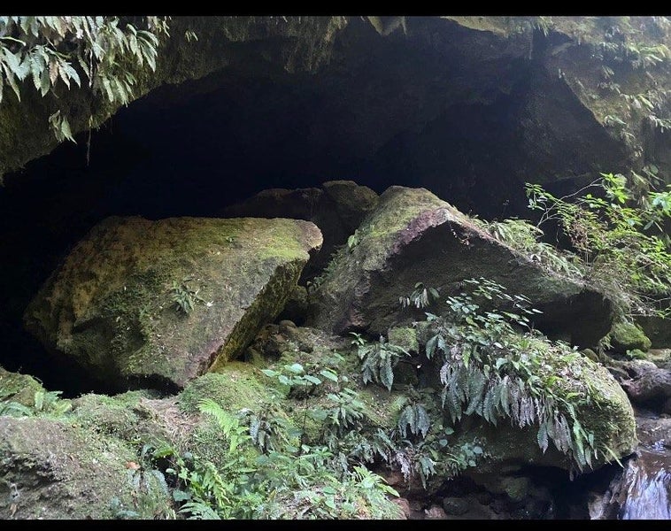 1048B Oropi Road, Oropi, Oropi - Carousel 7