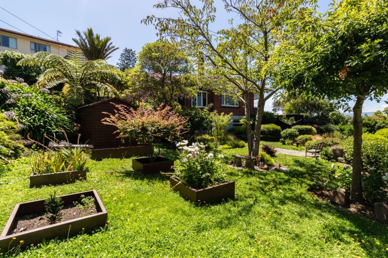 30 Buckingham Street, Melrose, Wellington - Carousel 22