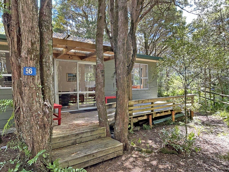 56 TOTARA AVE, COLLINGWOOD - Carousel 1