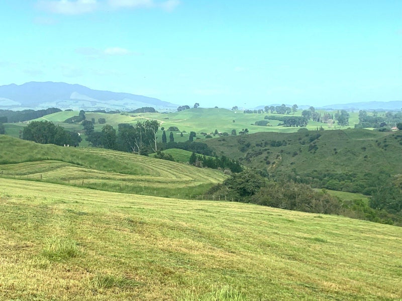 261 Paparamu Road, Piarere, Tīrau - Carousel 2