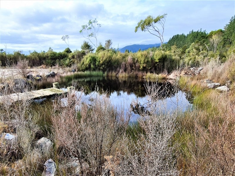 1022 Fairdown Road, Fairdown, Westport - Carousel 1