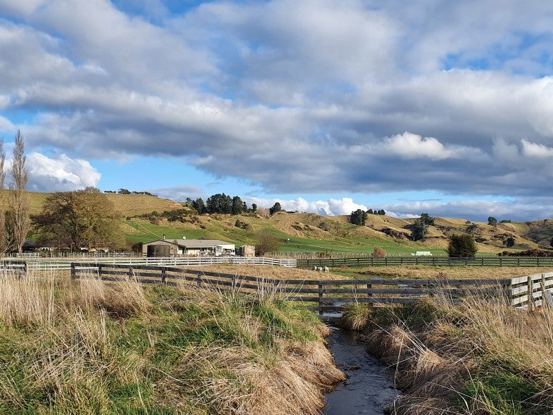 40 Makoura Road, Apiti, Āpiti - Carousel 1