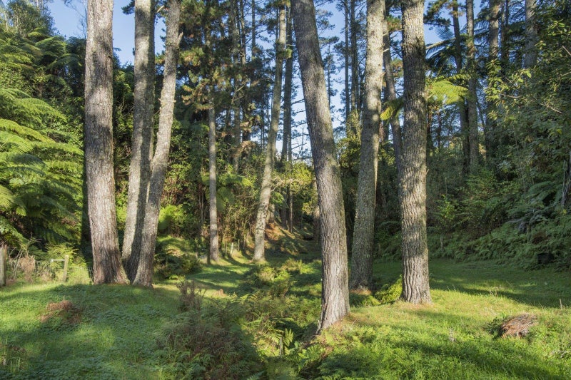 1128A Omanawa Road, Omanawa, Omanawa - Carousel 21