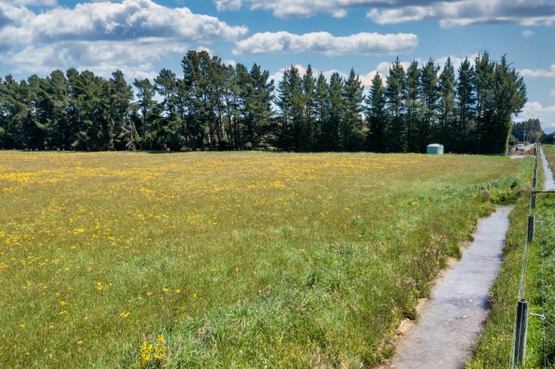 251 Worlingham Road, Eyrewell, West Eyreton - Carousel 14