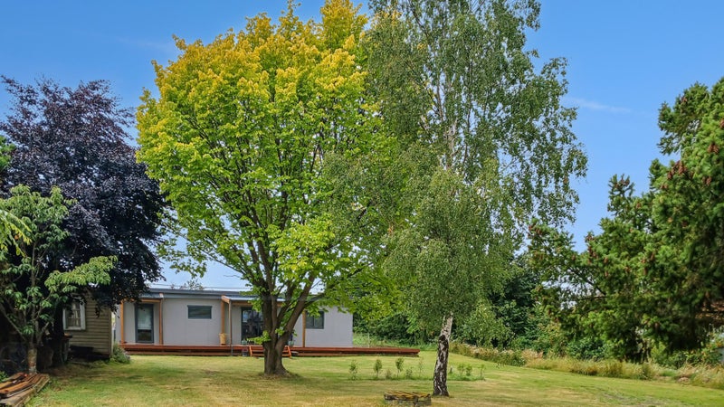 37 John Street, Ranfurly, Ranfurly - Carousel 11