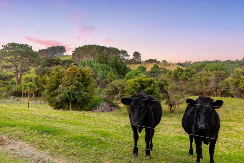 Property Valuation for 499 Shelly Beach Road, Helensville Trade Me