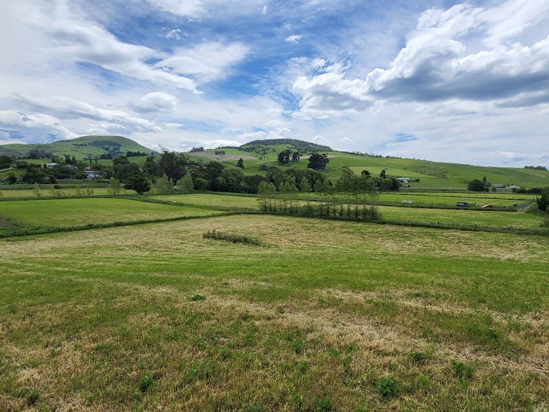 0 Edinburgh Street, Feilding, Feilding - Carousel 2