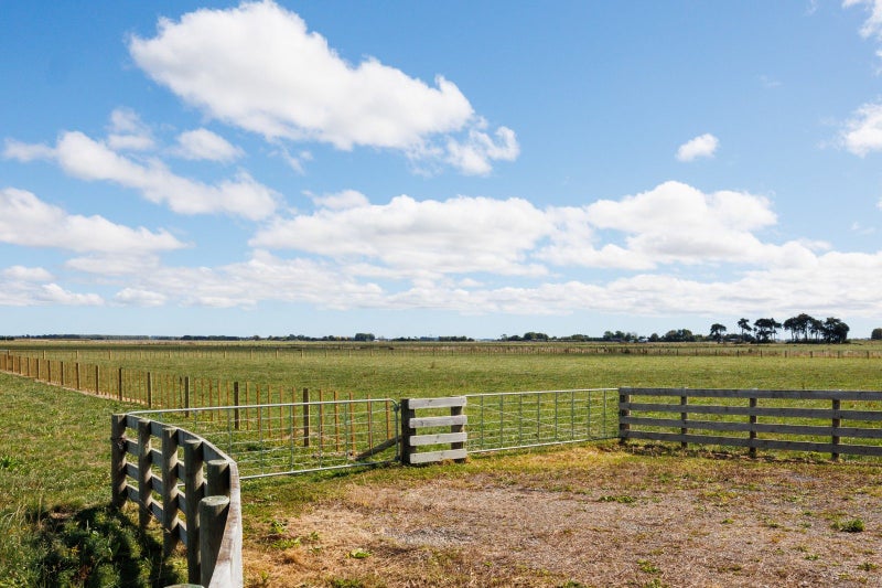 1482 Rongotea Road, Kairanga, Palmerston North, Manawatu / Whanganui - Carousel 10