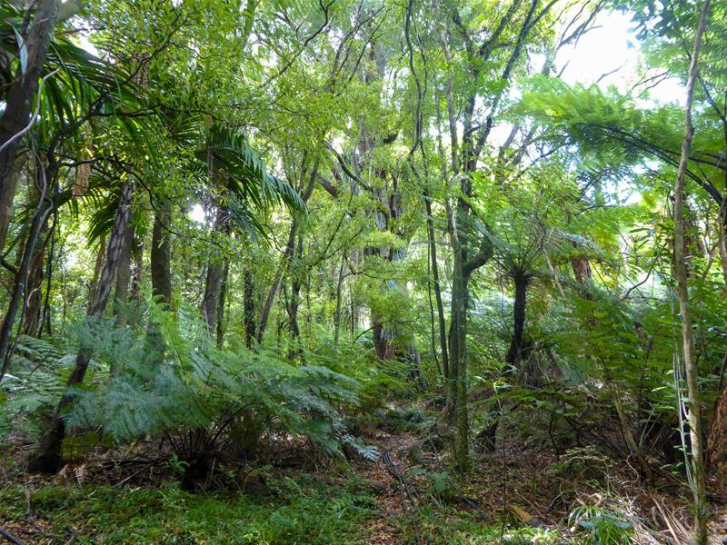 9 Sandy Bay Road, BLACK ROCK - Carousel 2